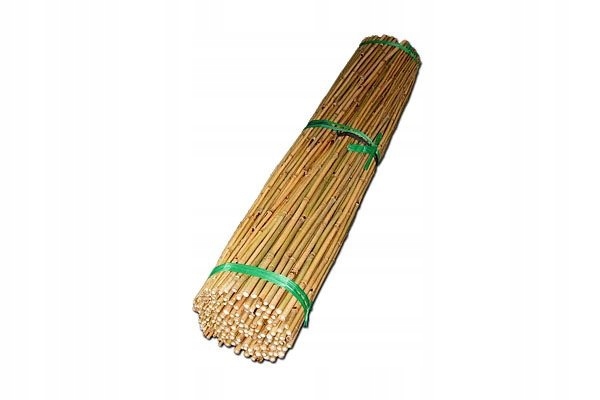 

Tyczki Bambusowe 60 cm 6/8 mm /50 szt/ bambus