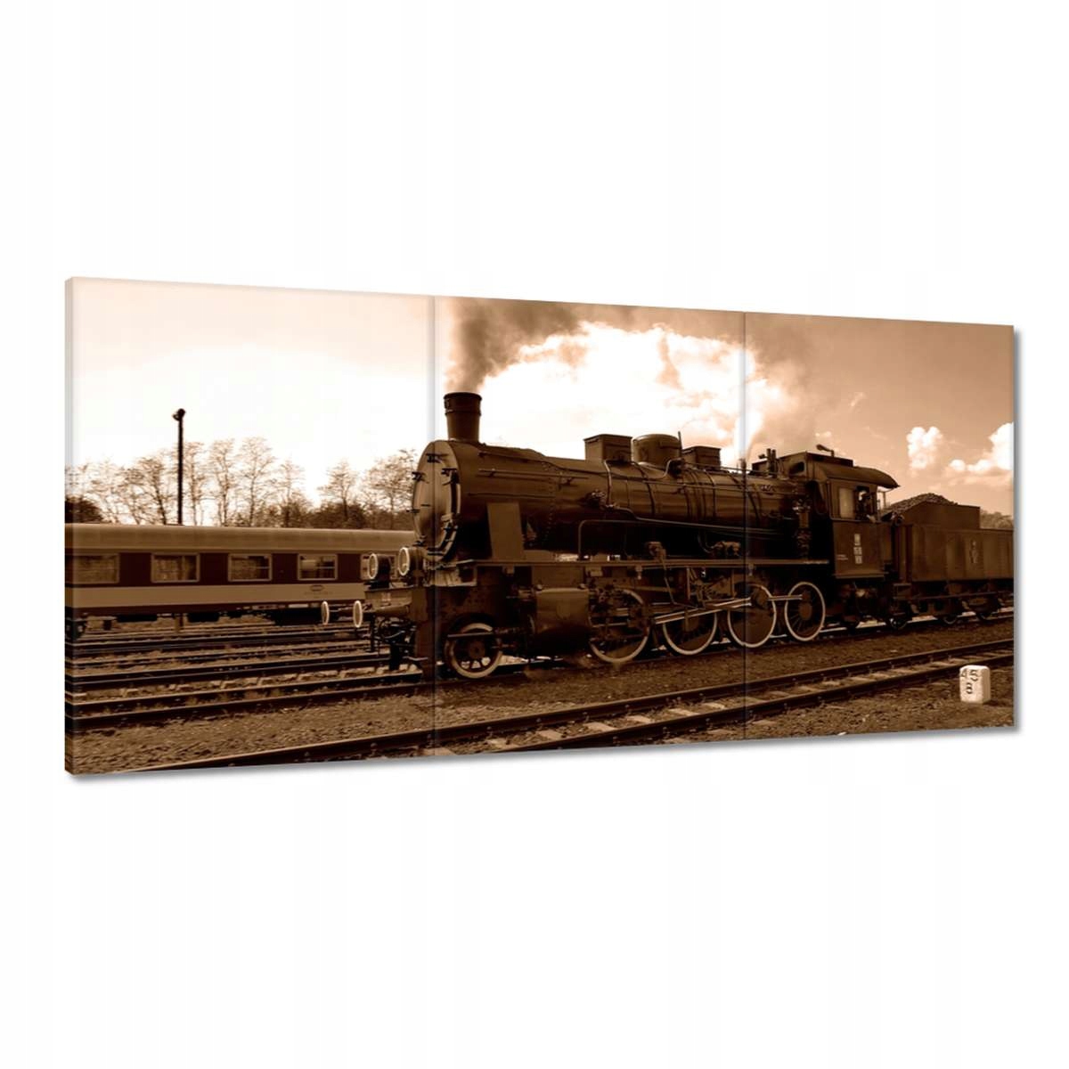 Obrazy 180x90 Lokomotiva TR565 Wolsztyn