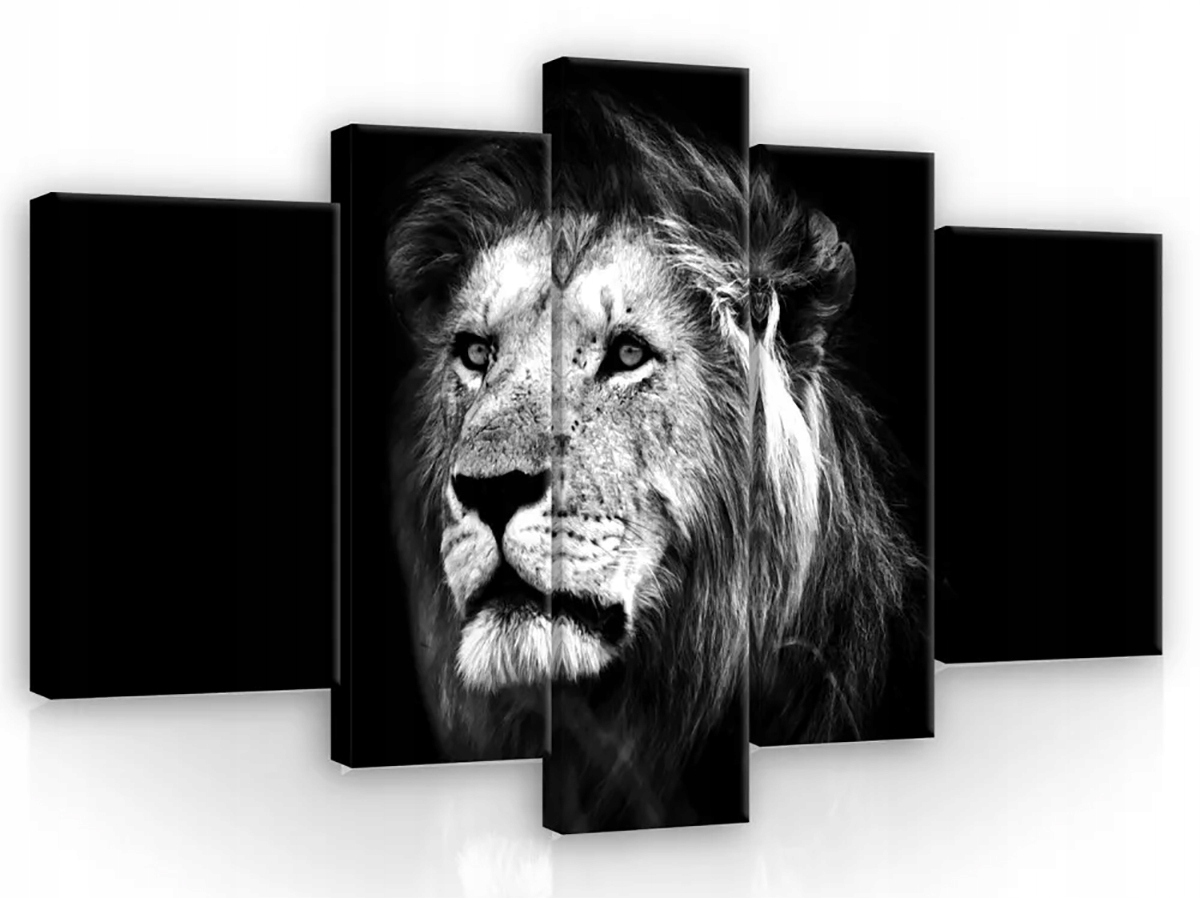 Obraz Na Plátne Canvas 170x100 Lew Portrét B&w