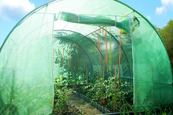 SZKLARNIA NA WARZYWA 2x3m TUNEL FOLIOWY Producent Rot Service
