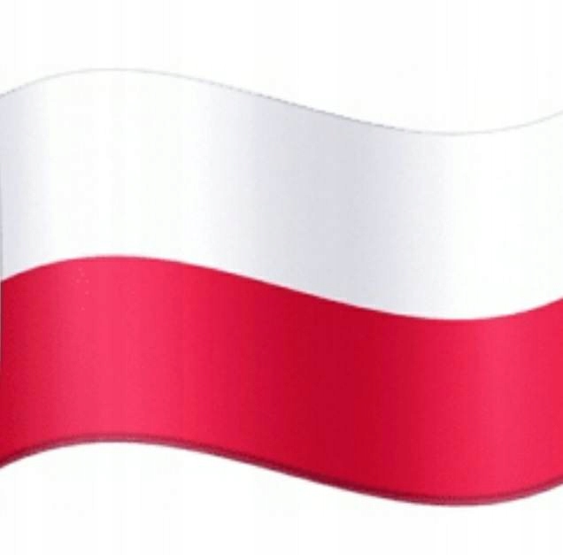 Kapcie Tatrzanki Czarne ocieplane 031 D 028 r.39 Model Tatrzanki