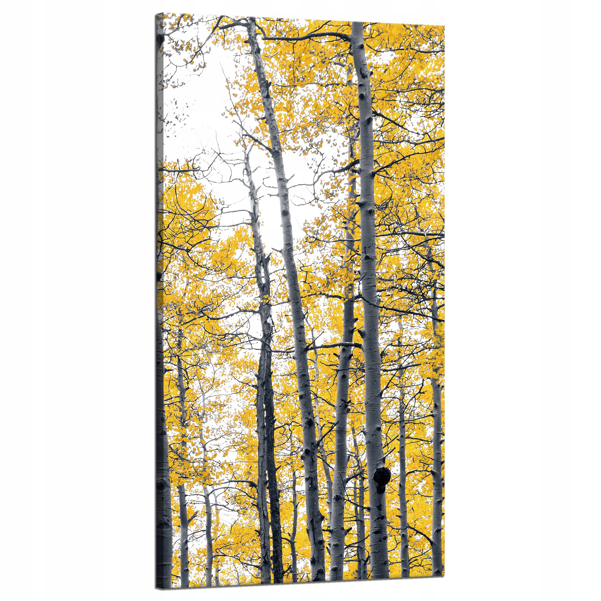 Obraz na plátně Břízy Žluté listy Příroda Jaro 60x120 cm