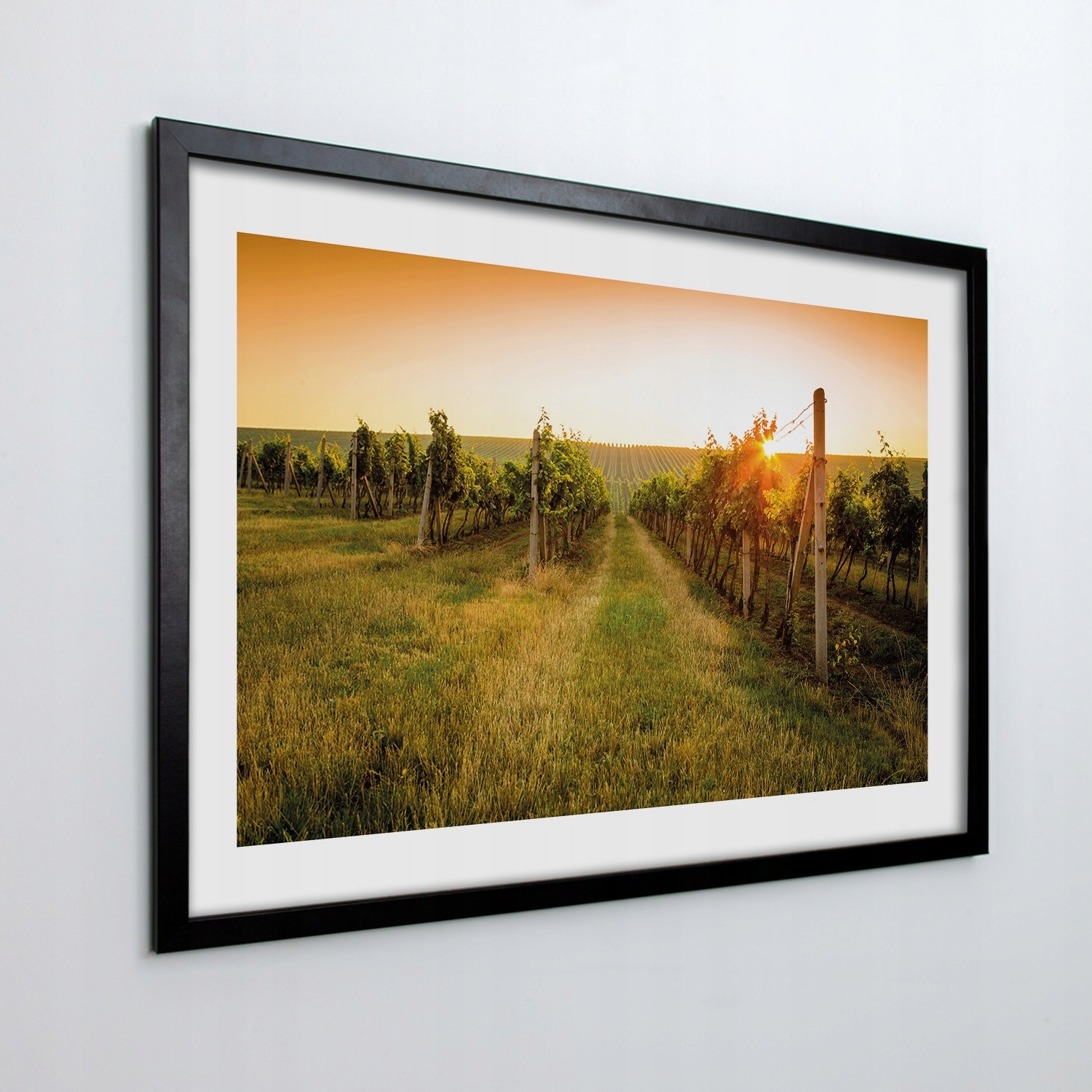 Obraz v rámu na zeď Hroznové Víno plantáž 70x50