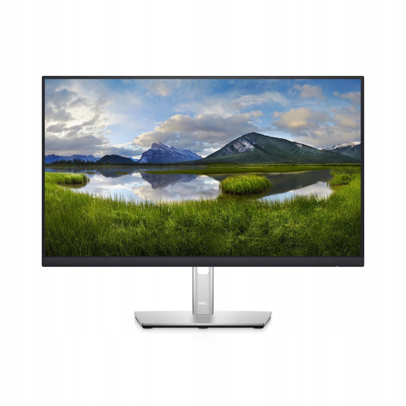 Dell P2422HE 60.5 cm (23.8" 1920, 210-BBBG
