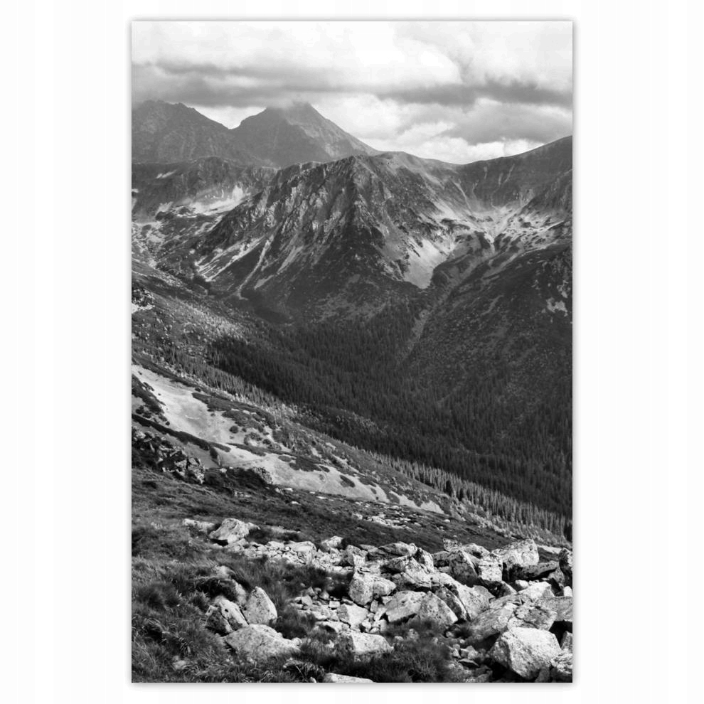 

Plakat 62x93 Tatry Polskie góry Widok