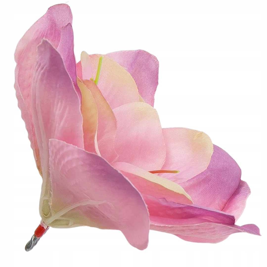 

Główka kwiatowa clivia 15-16cm różowo-lawendowa