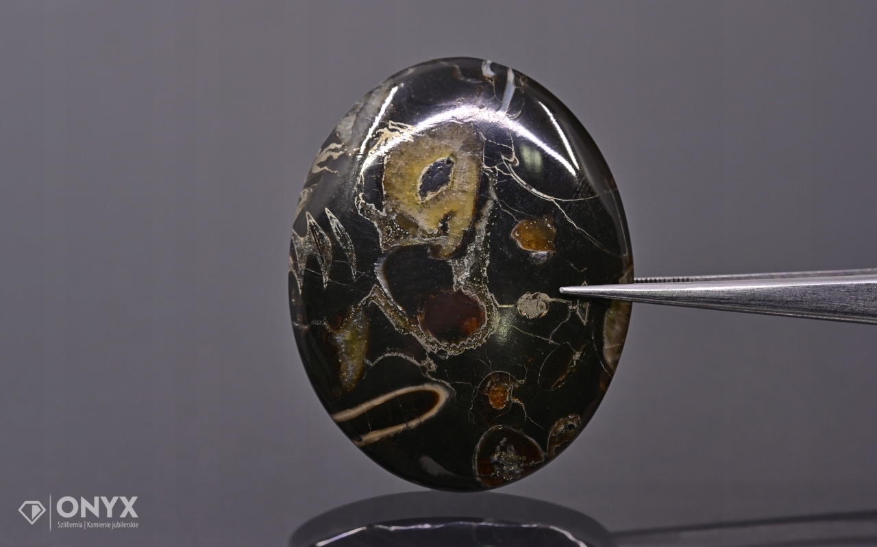 Amonit spiritizovaný ovál 47x37 mm