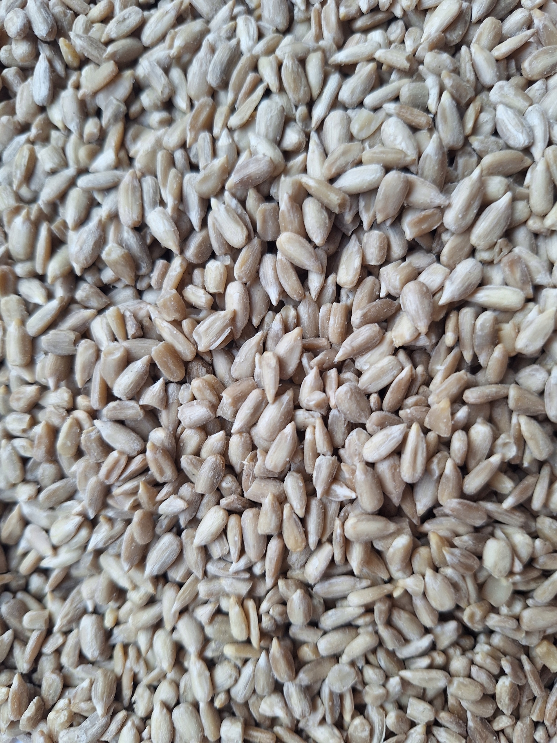 Levně Slunečnicová semínka loupaná pro divoké ptáky do krmítka 15 kg zrno Bonus Kula