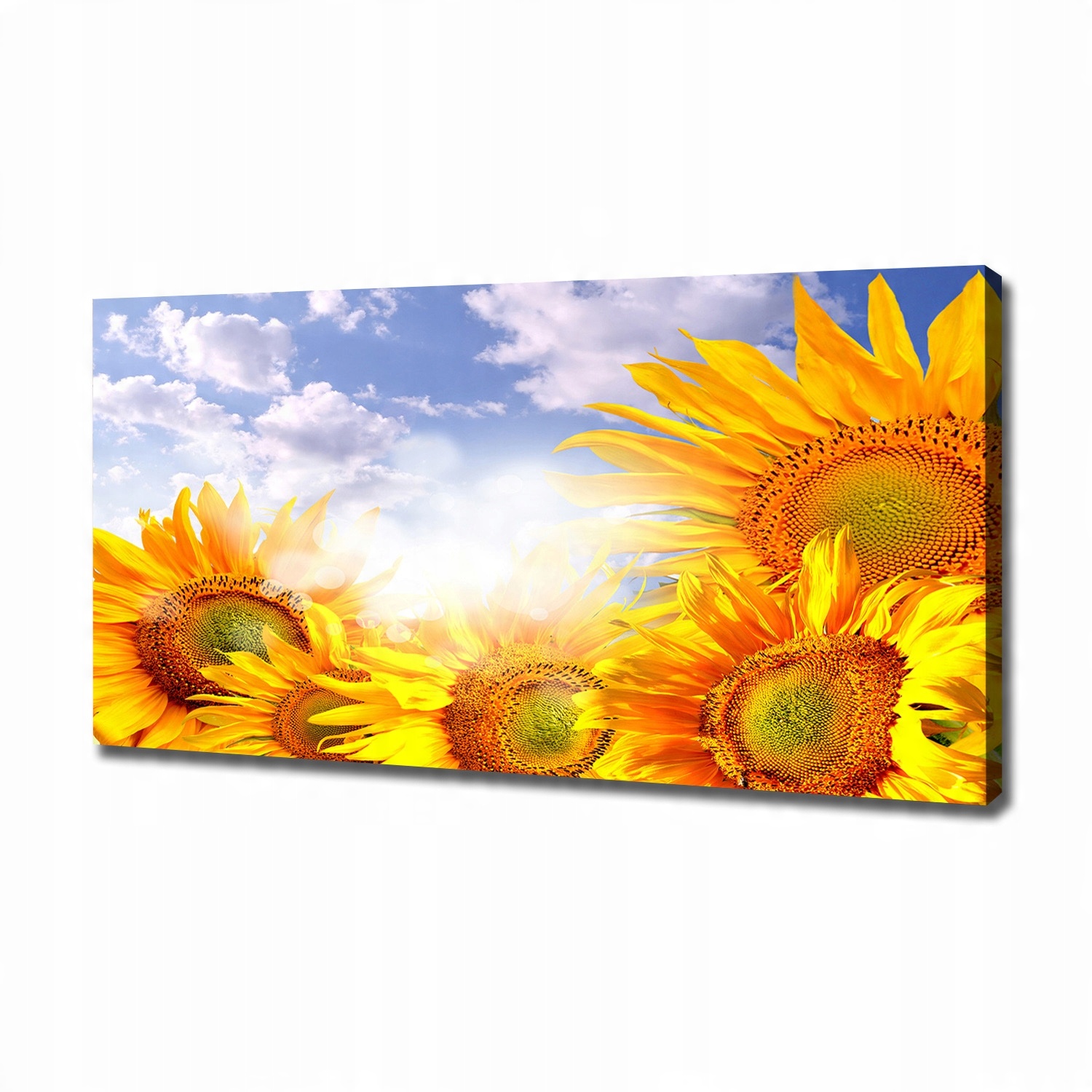

Foto obraz canvas na ścianę Słoneczniki 120x60 cm
