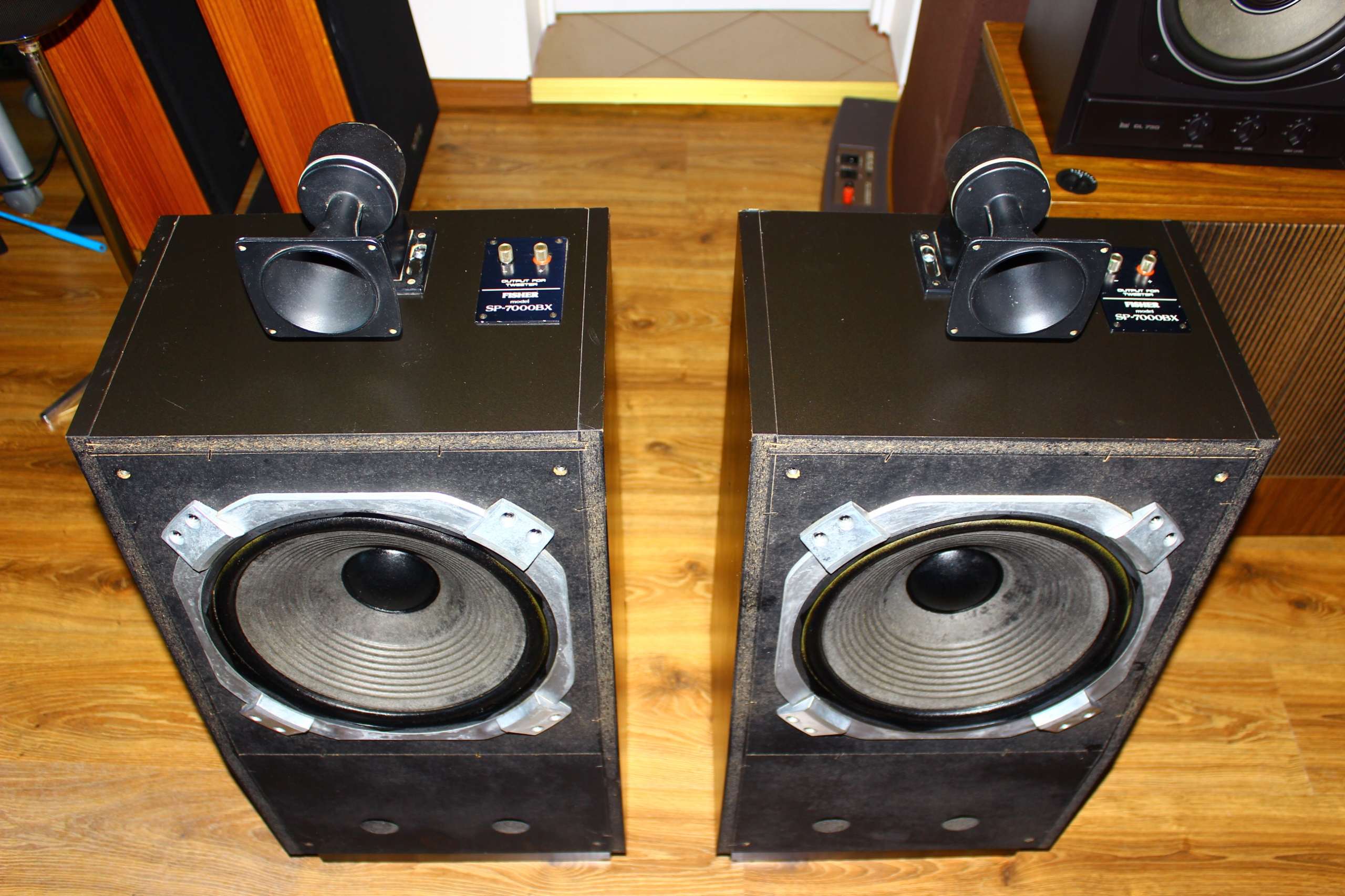 Kolumny głośnikowe Fisher SP-7000BX Vintage Rodzaj podłogowe