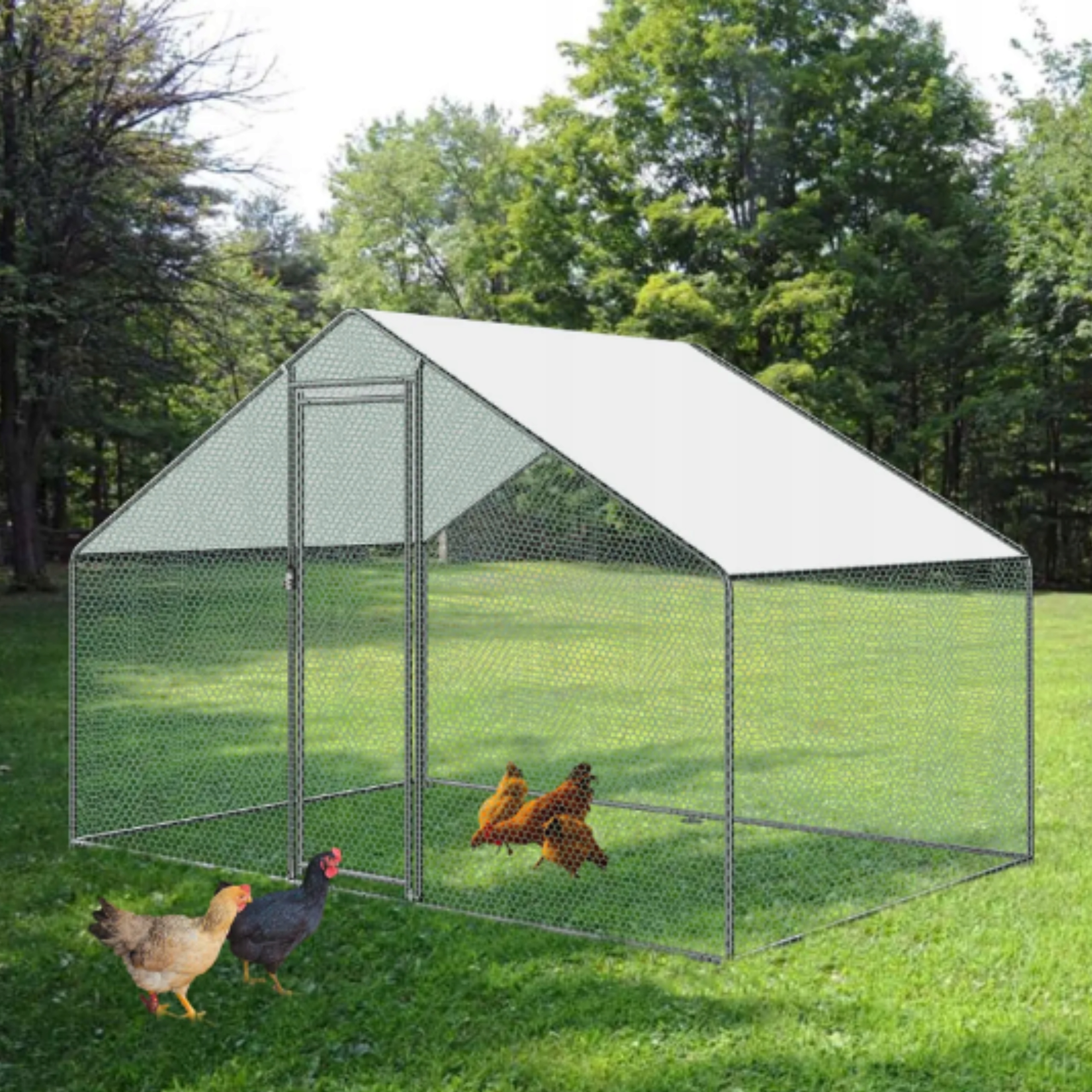 WYBIEG DLA KUR KRÓLIKÓW PTAKÓW KURNIK WOLIERA KLATKA ZAGRODA KOJEC 3x2x2M Rodzaj woliera