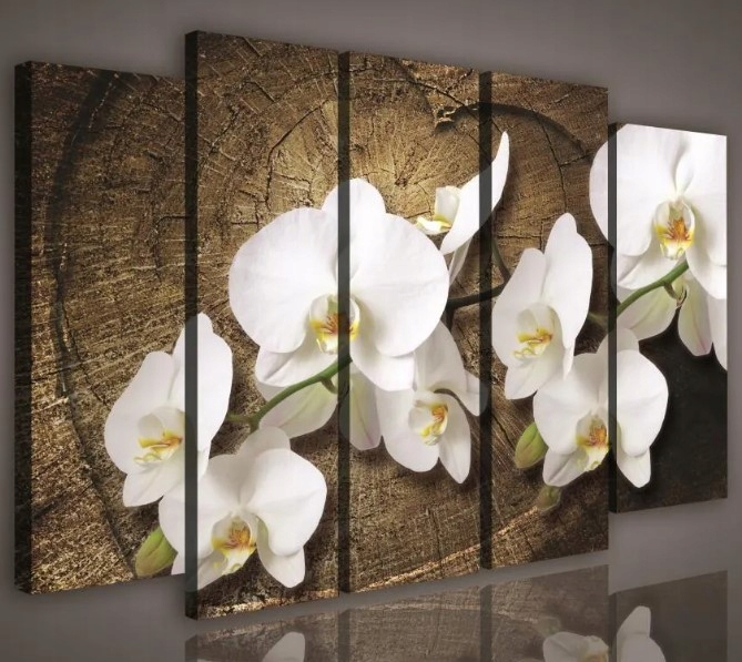Obraz 150x100 modulárne orchidey biele drevo kvety príroda dekor