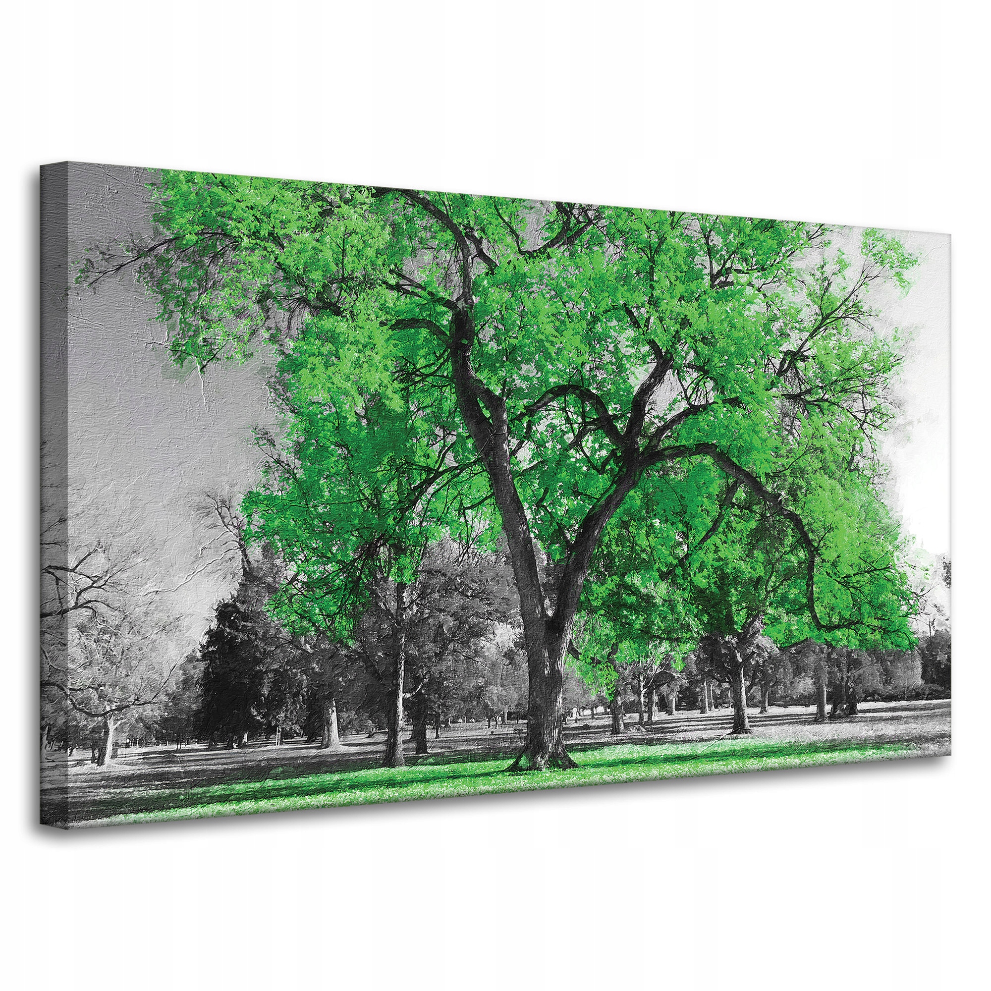 Obraz na plátně Černé Stromy Zelené Listy Umění 100x60 cm