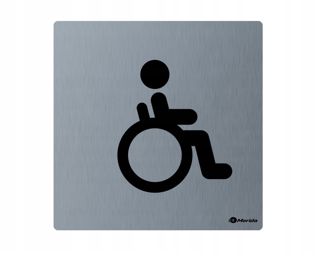 Merida Piktogram Pro Zdravotně Postižené Nerezová Ocel