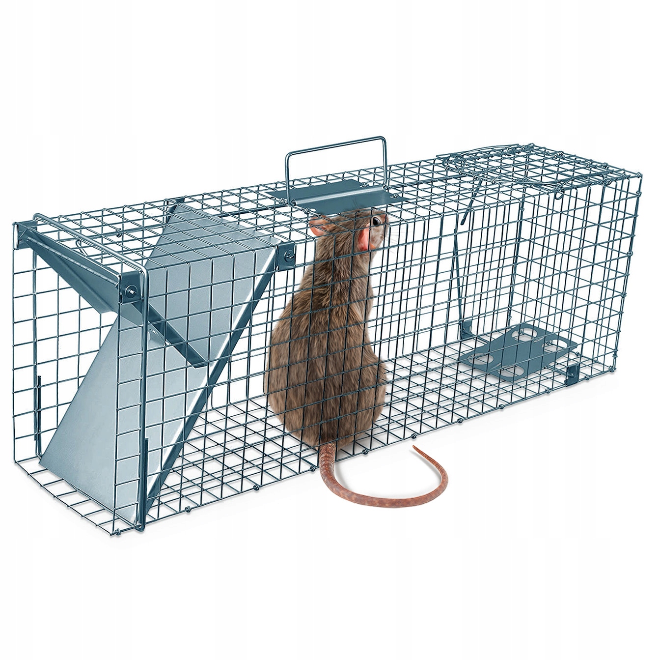 Pułapka Na Szczury Szczurołapka 50x17x20 Klatka Na Gryzonie Szczury