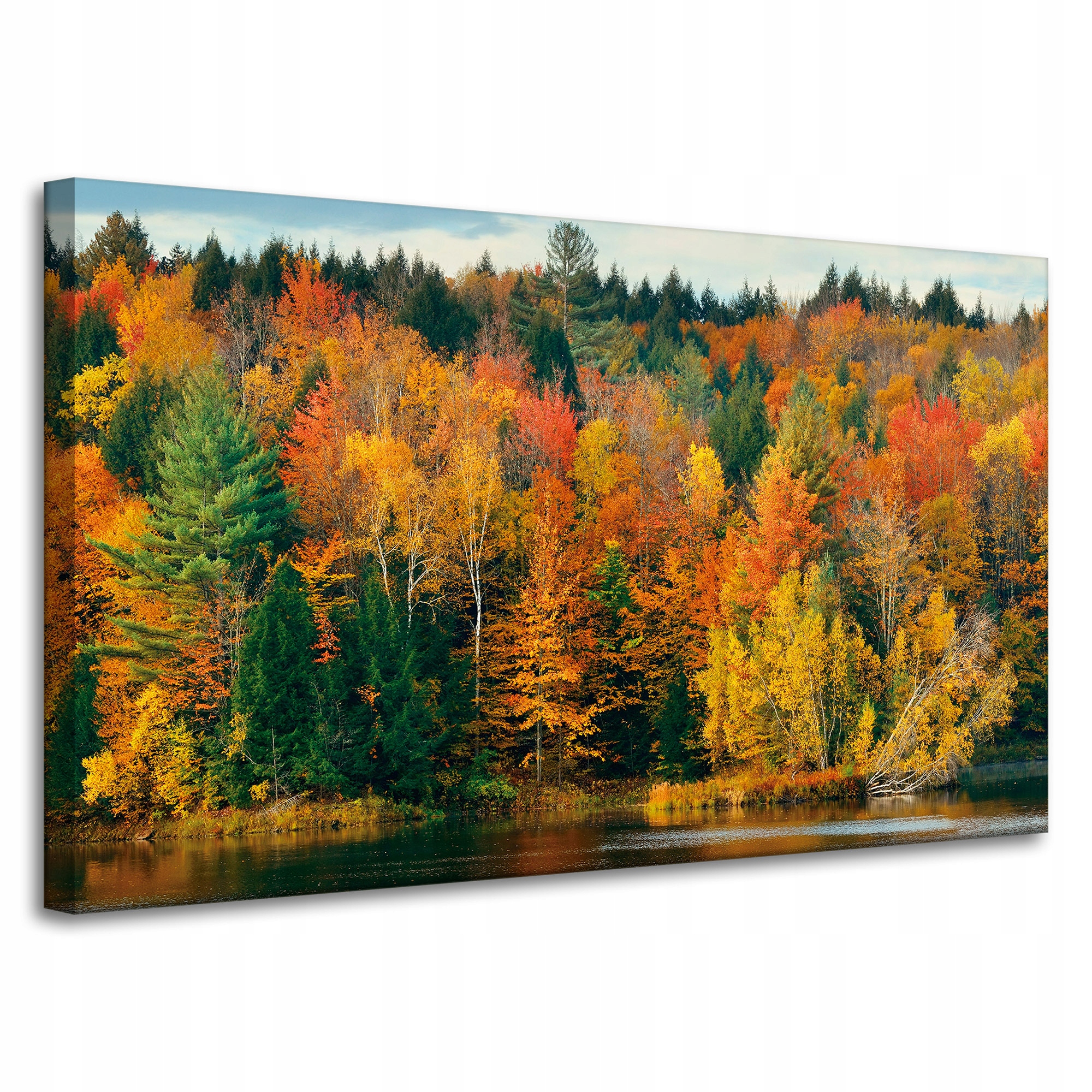 Obraz na plátně Barevné listy Stromy Podzim Příroda 100x60 cm