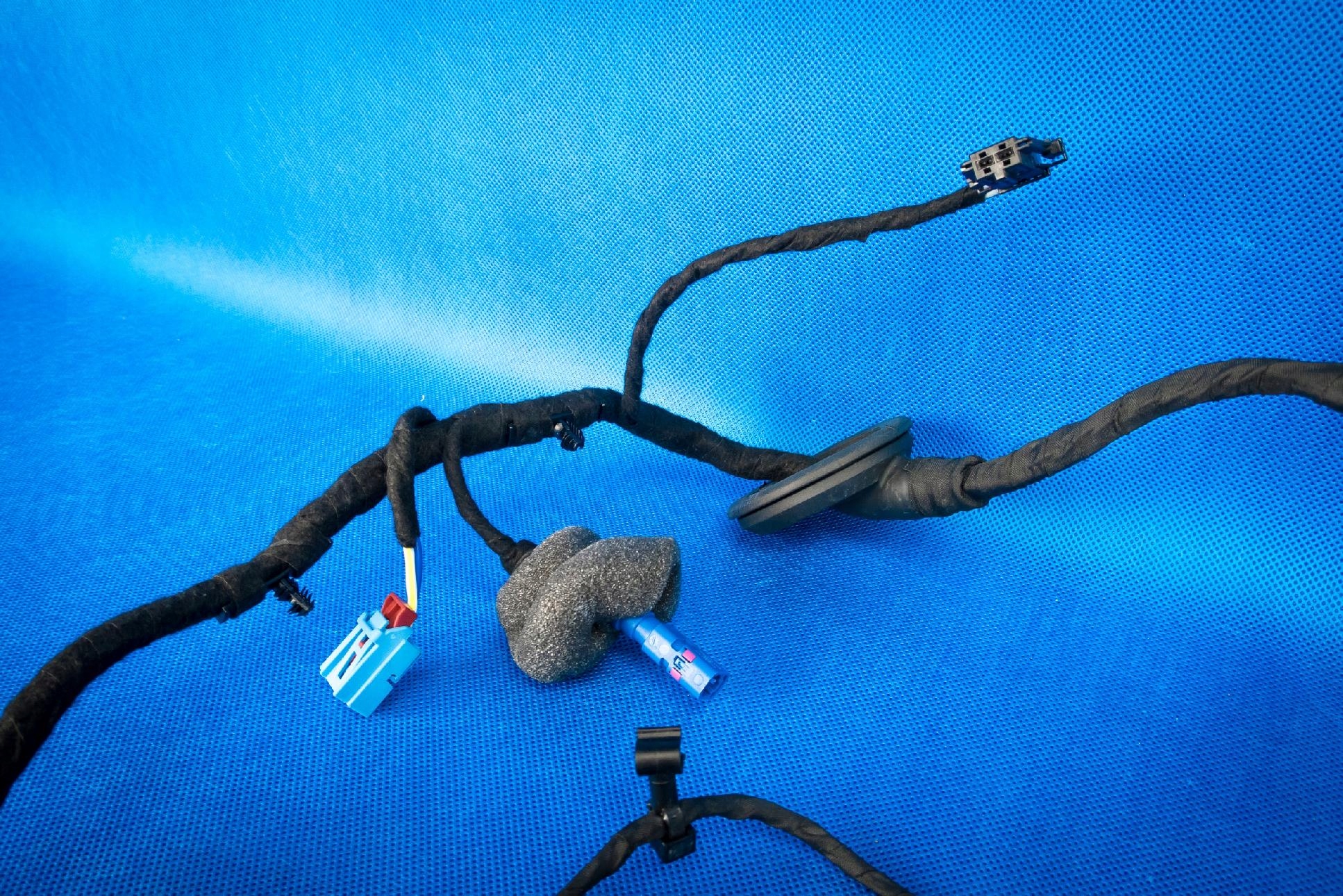 bundle electrical door Audi A8 4N 4N0971029AL