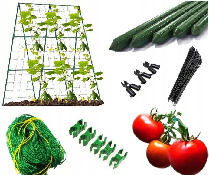 Stelaż z siatką na pomidory, ogórki, podpora na fasole 150 x 150 cm