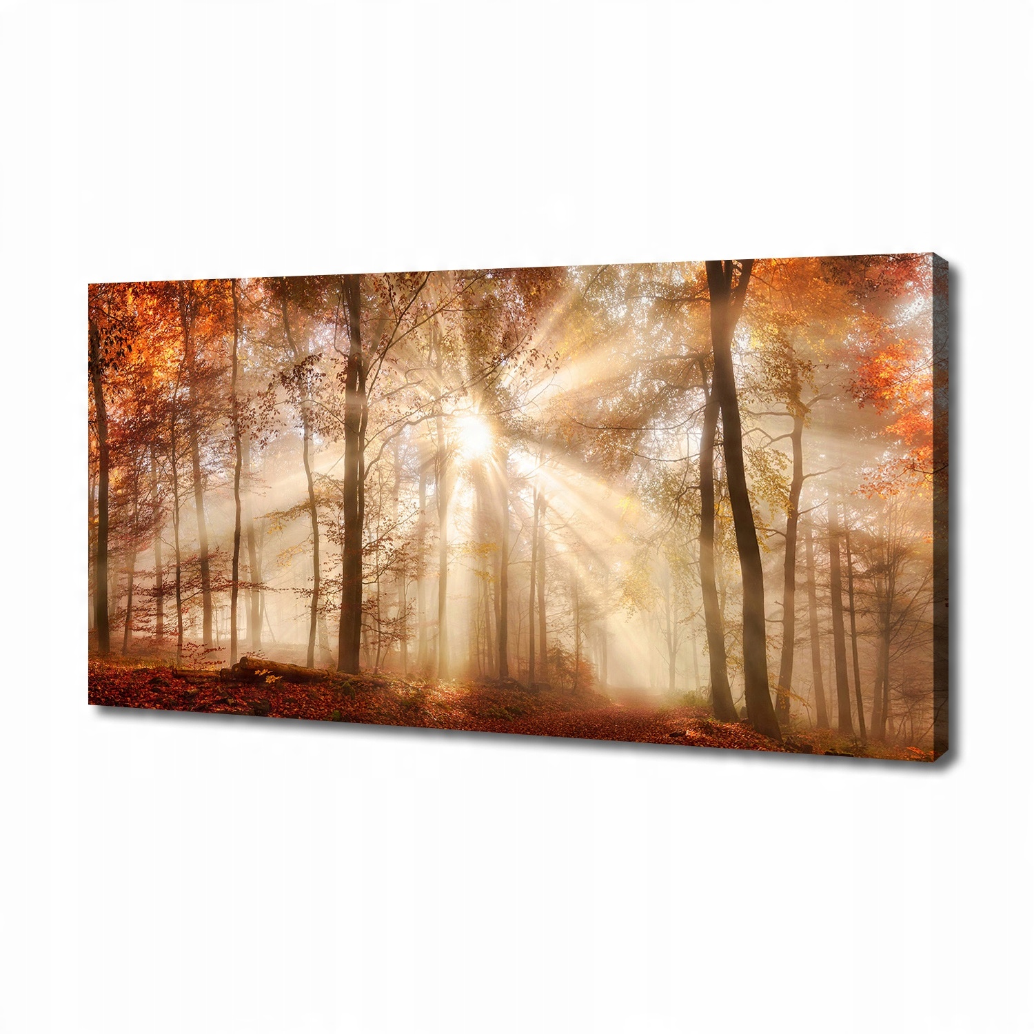 

Foto obraz na płótnie Mgła w lesie jesień 140x70cm