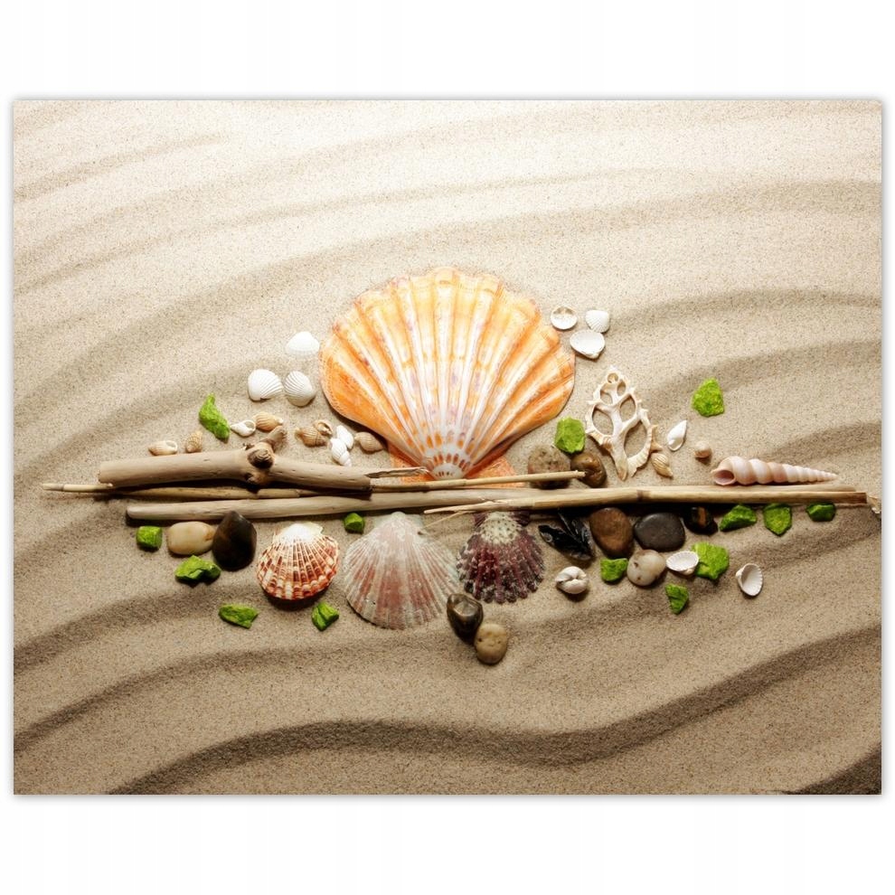 

Plakat 50x40 Muszelki Morski piasek