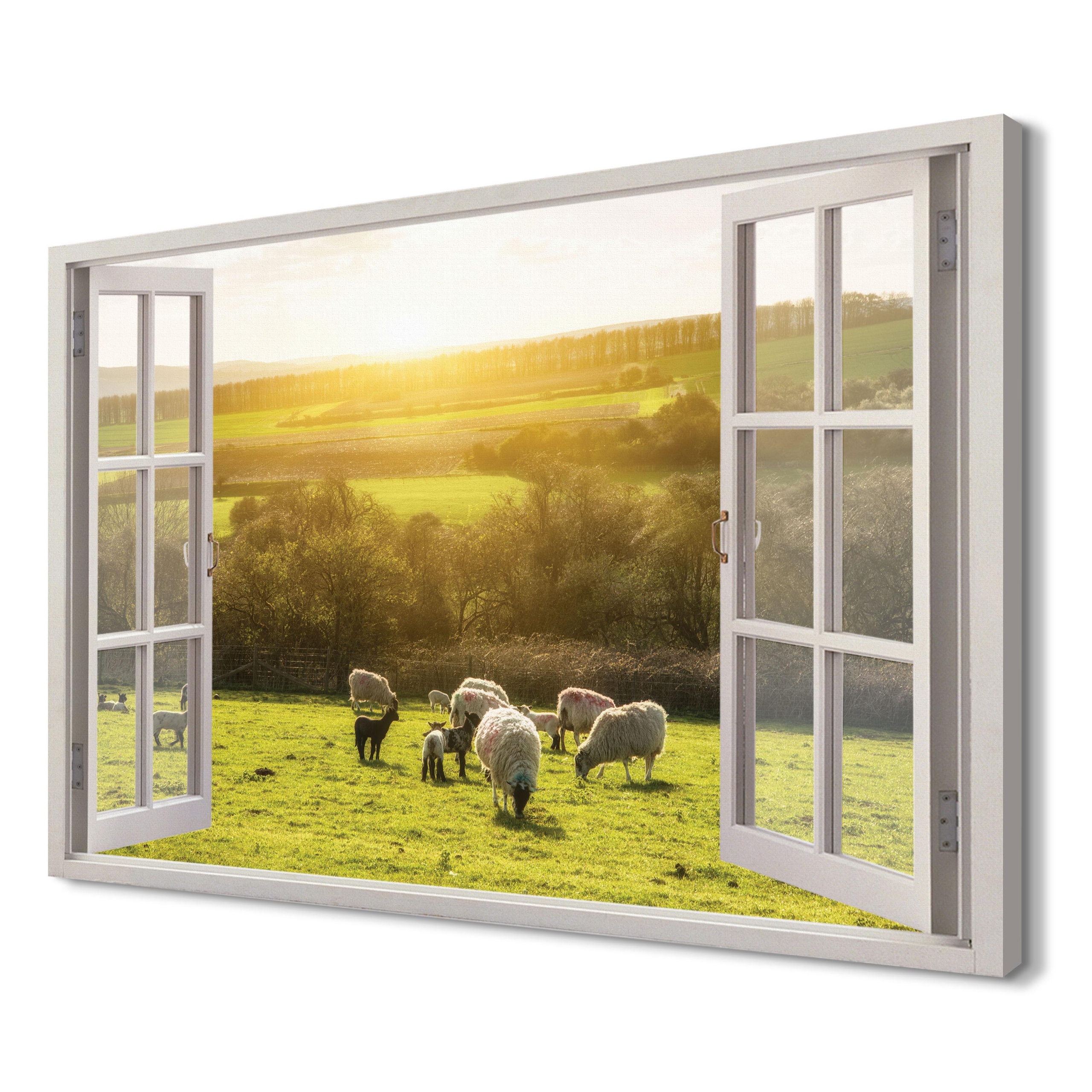 

Owieczki łąka zwierze Wydruk na płótnie 3d 120x80
