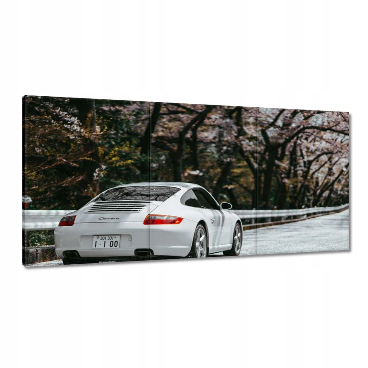 Obrazy 180x90 Porsche Auto