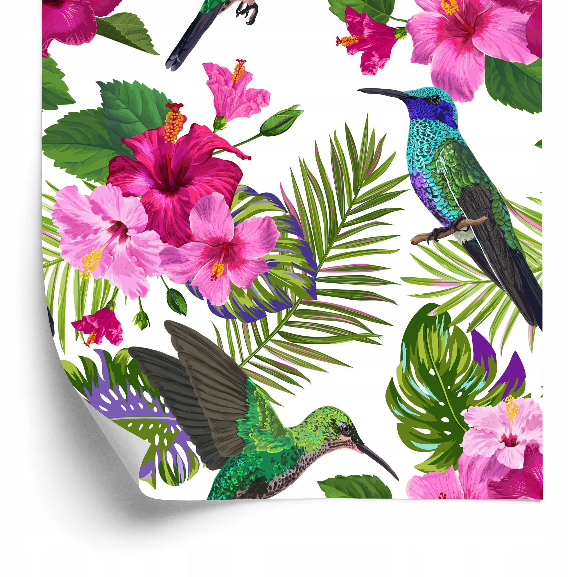 Tropická tapeta Farebné kolibríky, listy a kvety 50 x 1000 cm