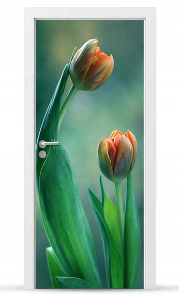 Okleina nálepka na vnější dveře Nábytková samolepicí Snadné Lepení