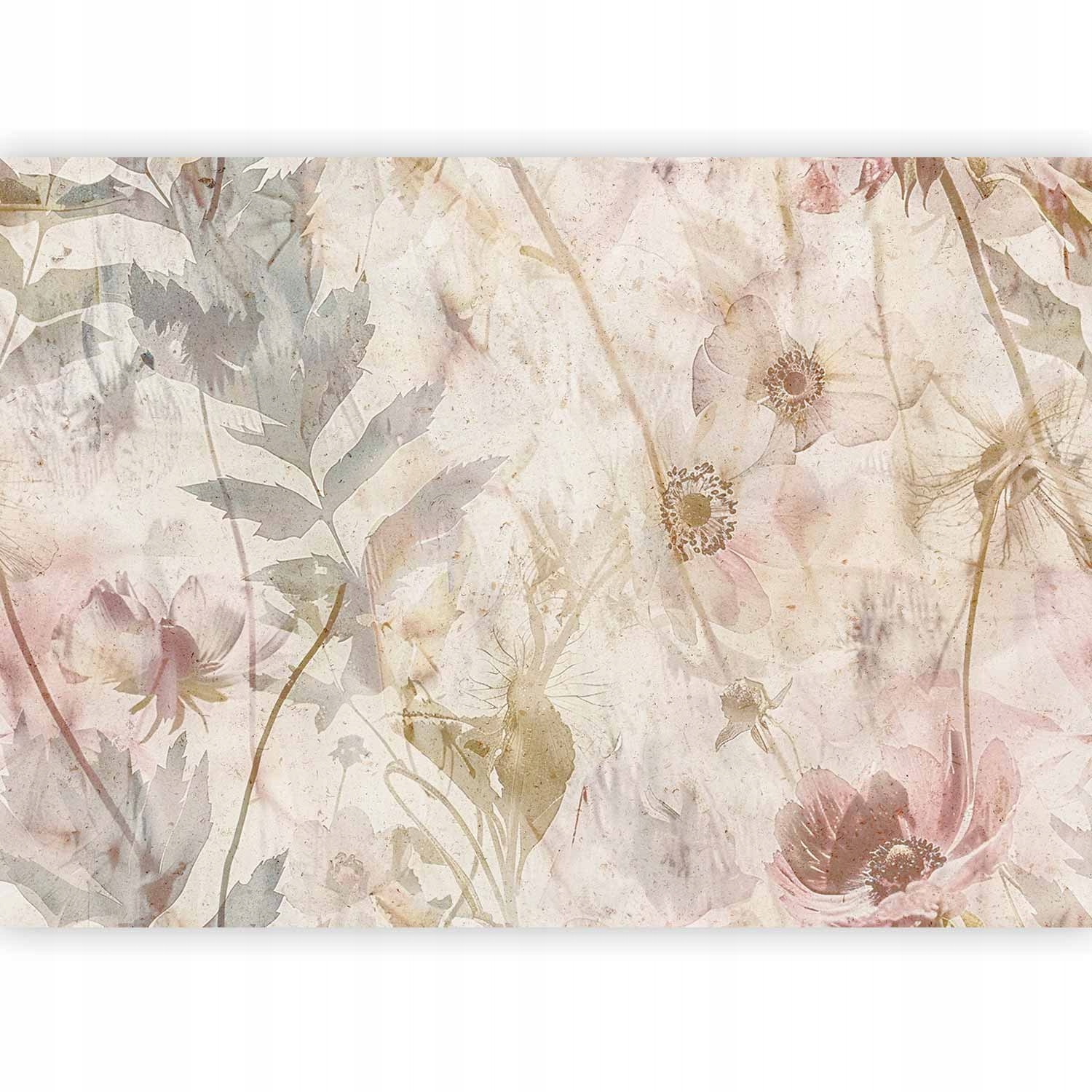 Fototapeta Premium Beton Listki Kwiaty Boho Natura Vintage Retro 3D 500x350