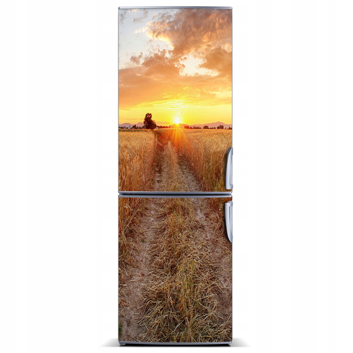 

Magnes Tapeta na lodówkę Pole pszenicy 60x180