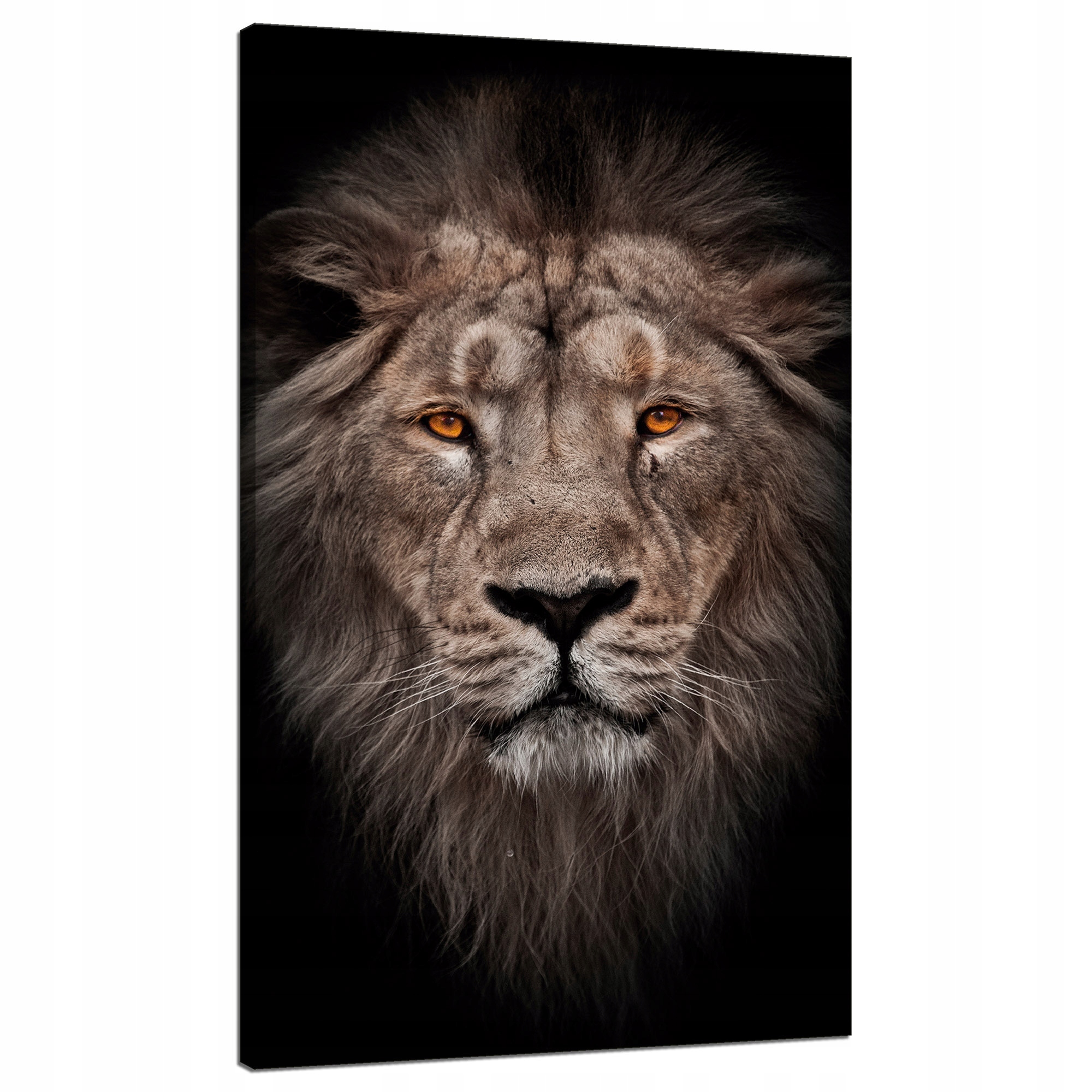 Obraz na plátně Tvář lva Červené oči Divočina 70x120 cm