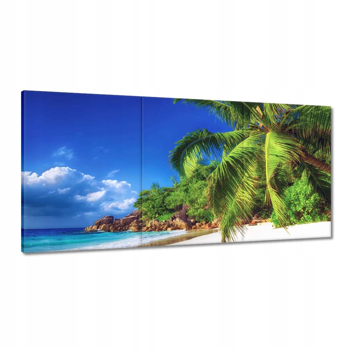 Obrazy 180x90 Tropy Krajina Palmy