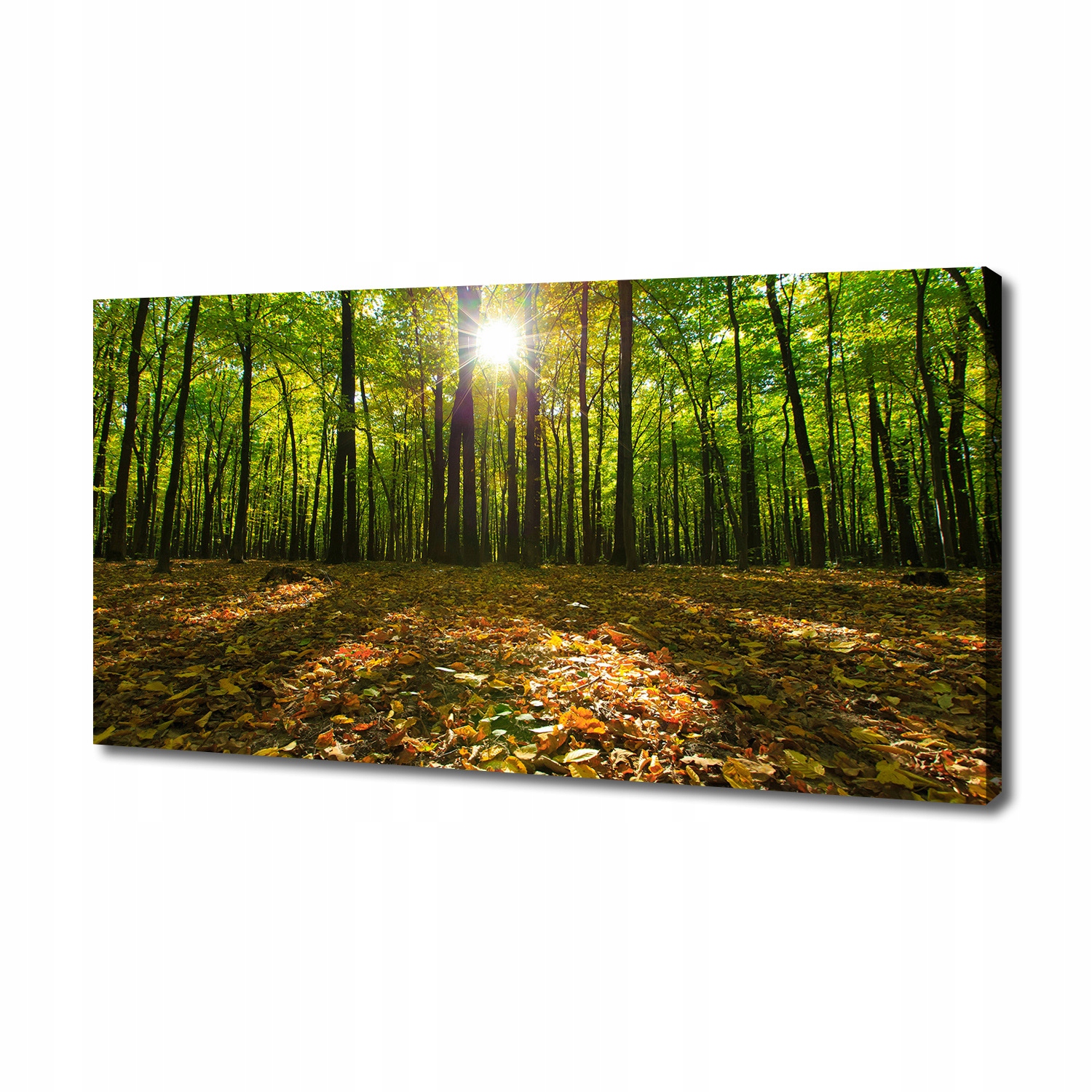 

Obraz zdjęcie na płótnie nowoczesny Las 140x70 cm