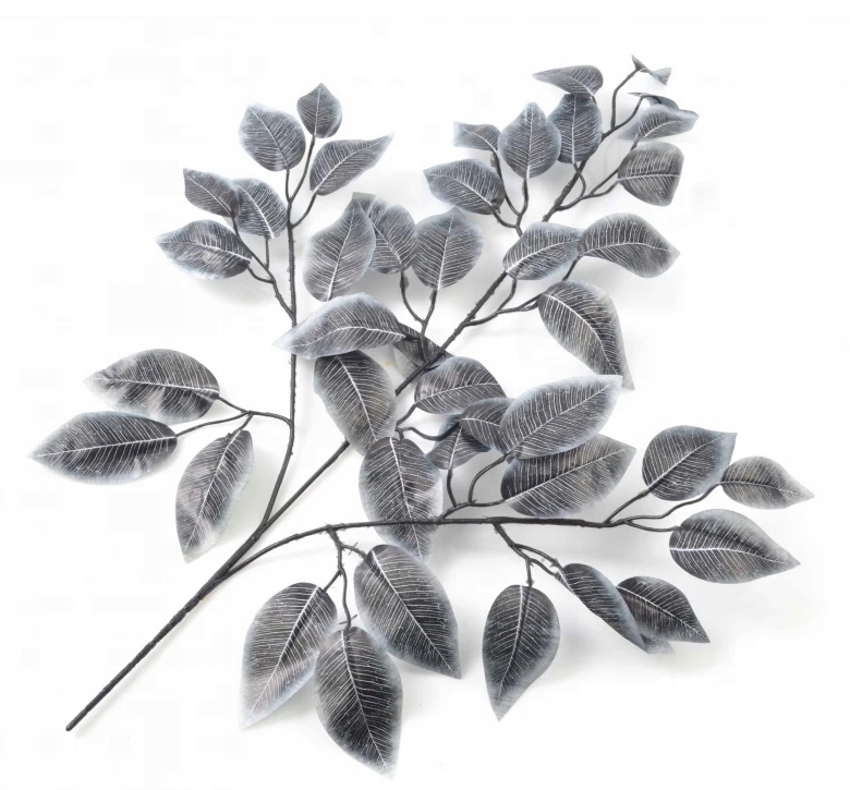 

Gałązka Szaro Czarna Liści Benjamina 58cm