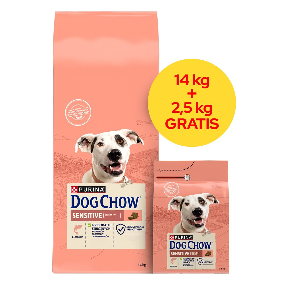 Purina Nestle Dog Chow Sensitive losos 14 2,5 kg