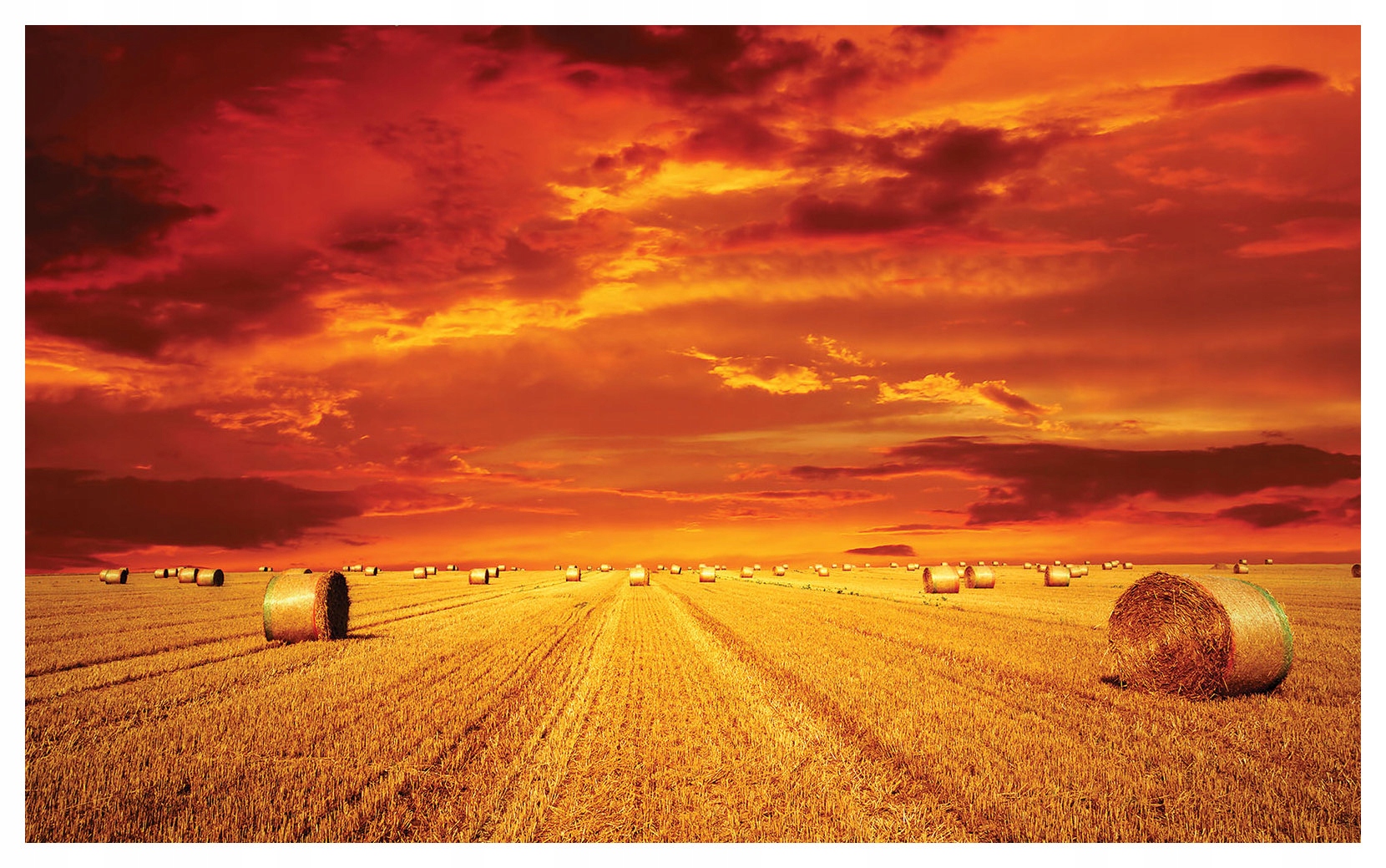 Fototapeta flizelina Západ slunce v poli sena Zlatý klid 312x219 lepidlo