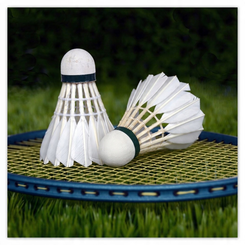 

Fototapety flizelina 208x208 Lotki Badminton