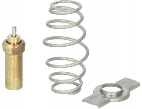 THERMOTEC TERMOSTAT D2IV006TT