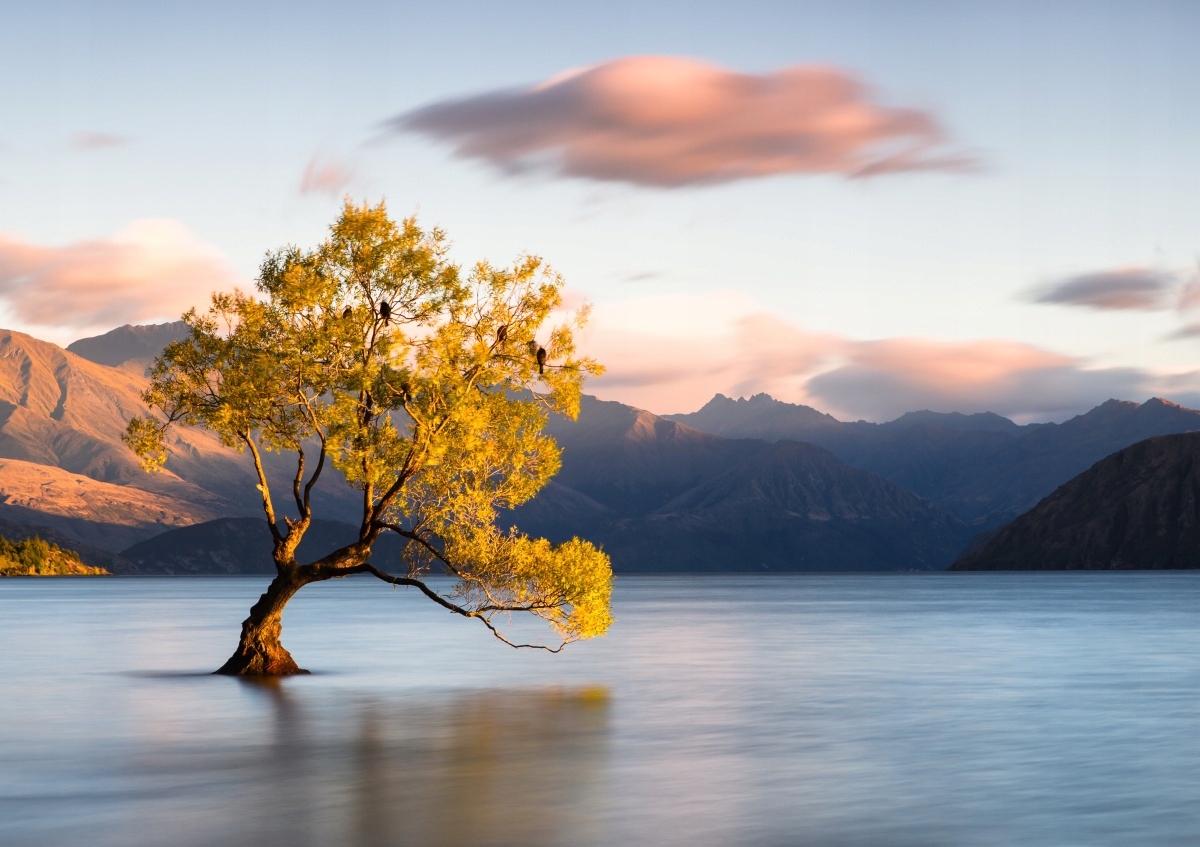 

Fototapeta Flizelinowa Drzewo Jezioro 208x146