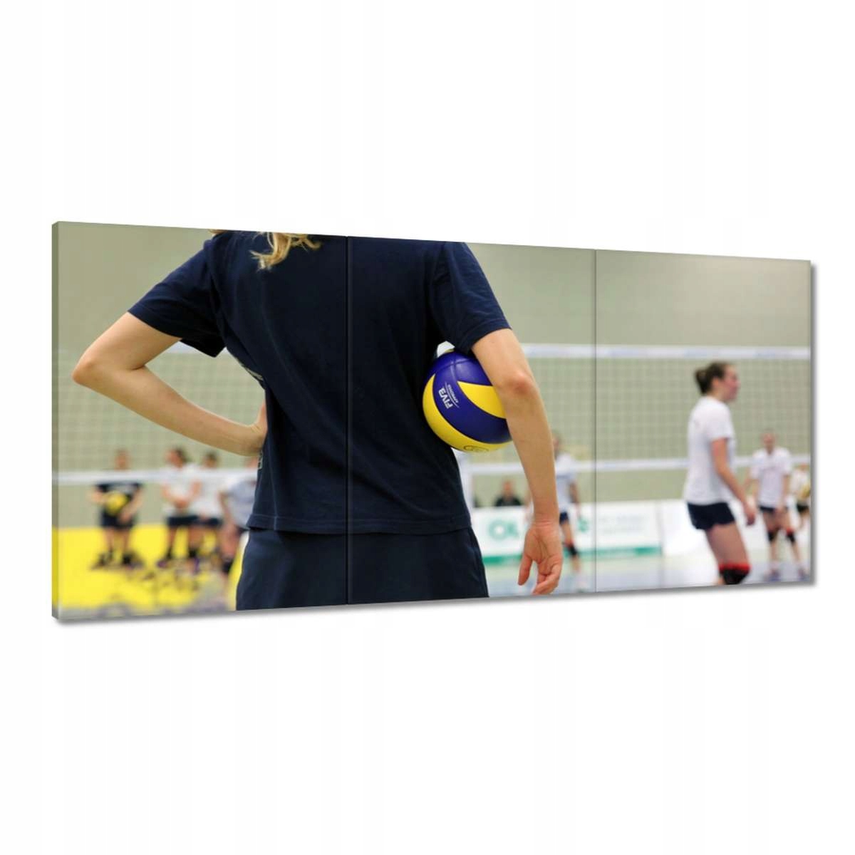 Obrazy 180x90 Ženská volejbalová sieť
