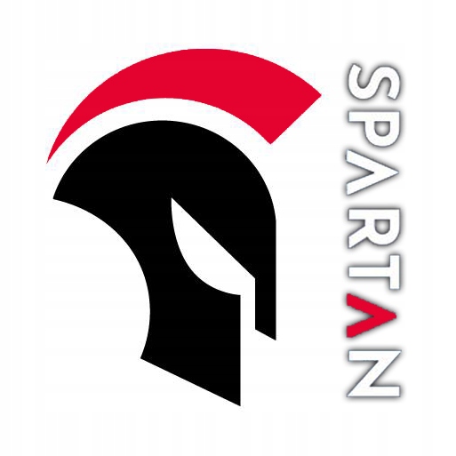 ODZIEŻ KOSZULKA SPODNIE SPODENKI Termoaktywna SPORTOWA TRENINGOWA MĘSKA 3w1 Kolor dodatkowy czarny