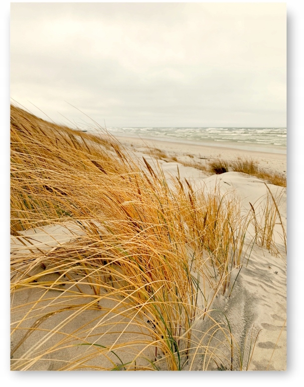 

Morze wydmy plakat obraz 40x50 cm #168