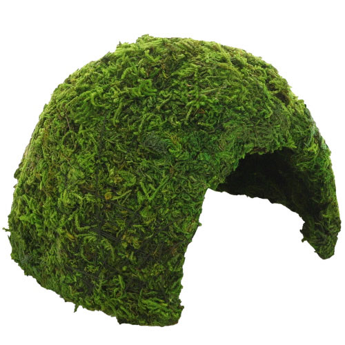 

Hobby Jungle Cave 1 11x11x9cm jaskinia w mchu