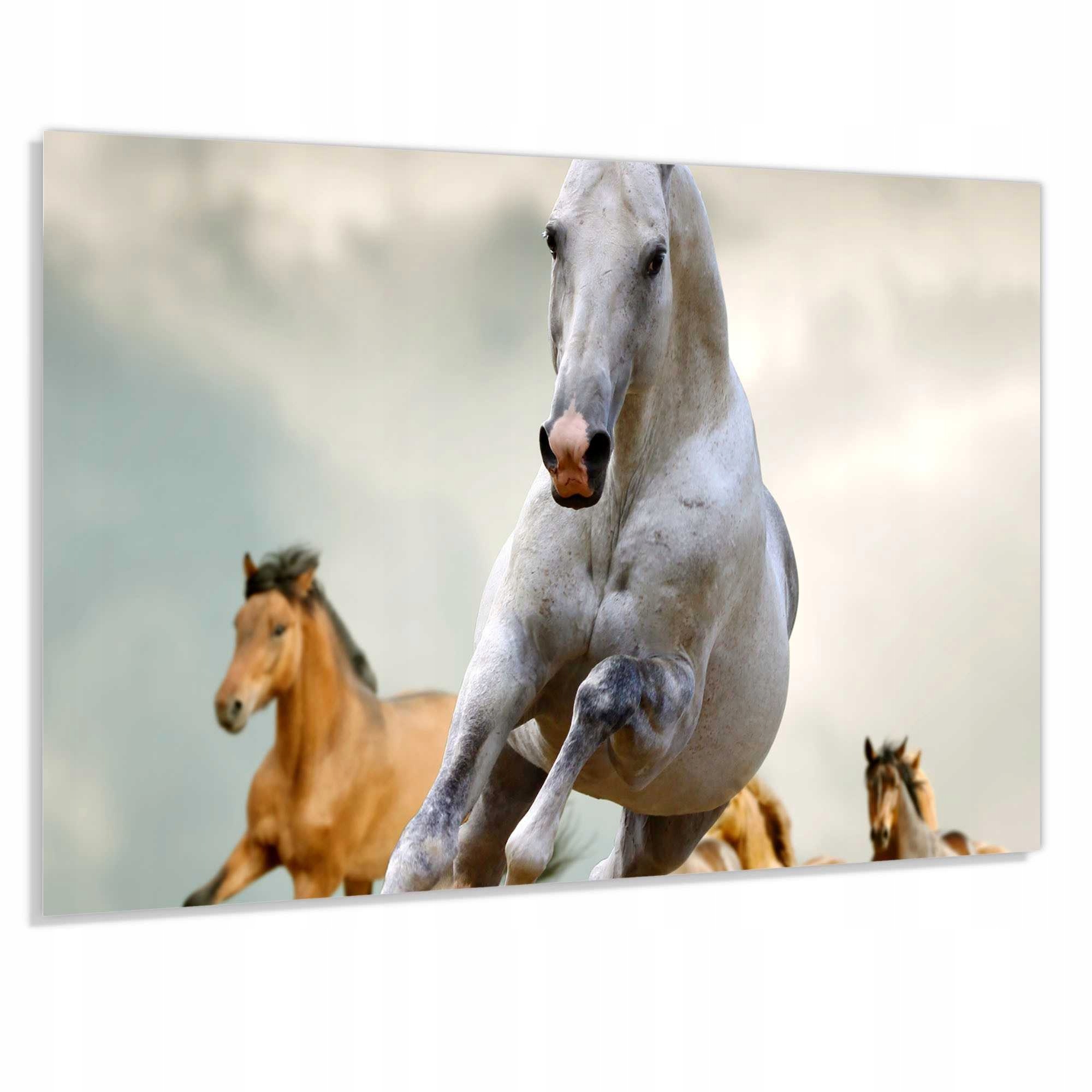 Tvrzený Panel 4mm 80x60cm Lacobel Dekorativní Do Kuchyně Ochranný