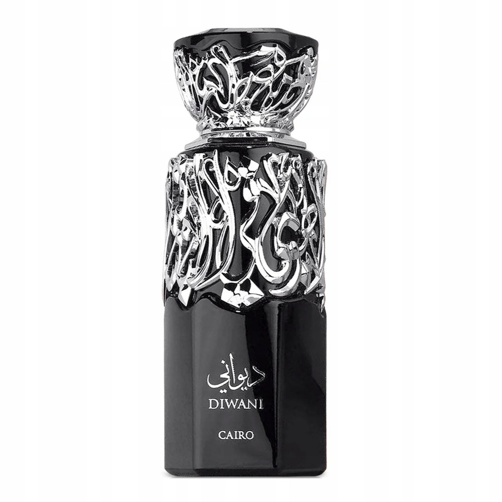 Diwani Cairo Parfémovaná voda sprej 100 ml Unisex Smyslná elegantní vůně