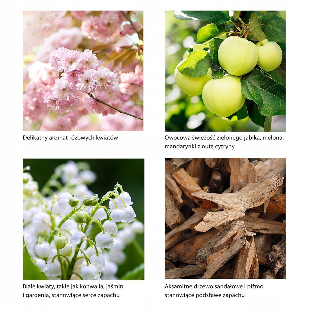 Glade Automatic Spray Urządzenie pure clean linen Kod producenta 5000204073782