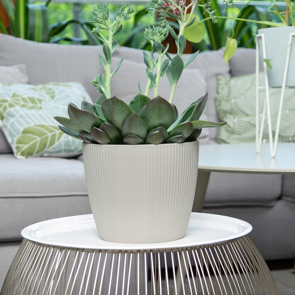 DONICZKA DONICA OSŁONKA MAGNOLIA JUMPER ECO RECYCLED 160 ANTRACYT Długość 13 cm