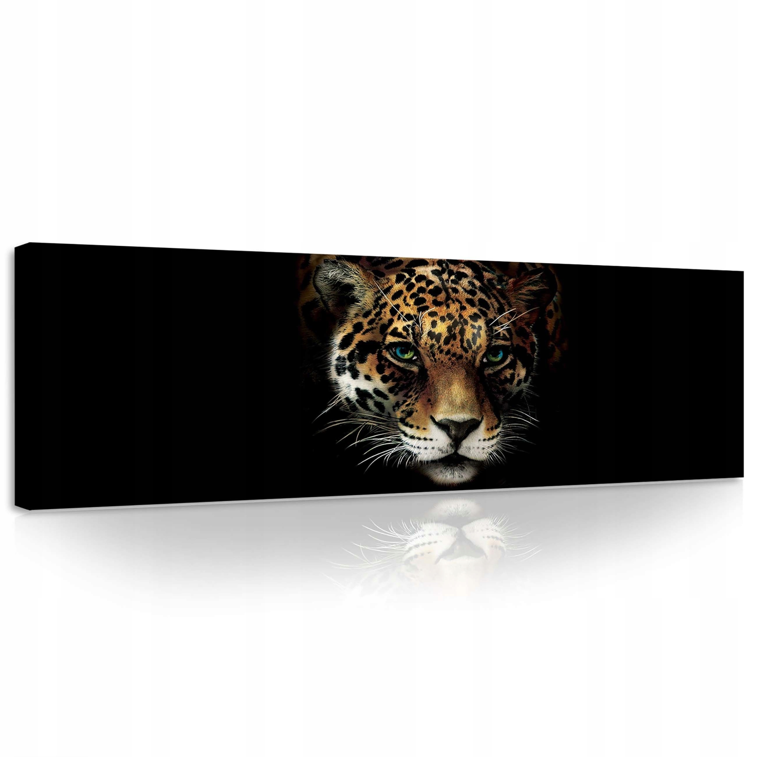 Obraz 145x45 Pohled dravce – Jaguar ve tmě Etnické akcenty