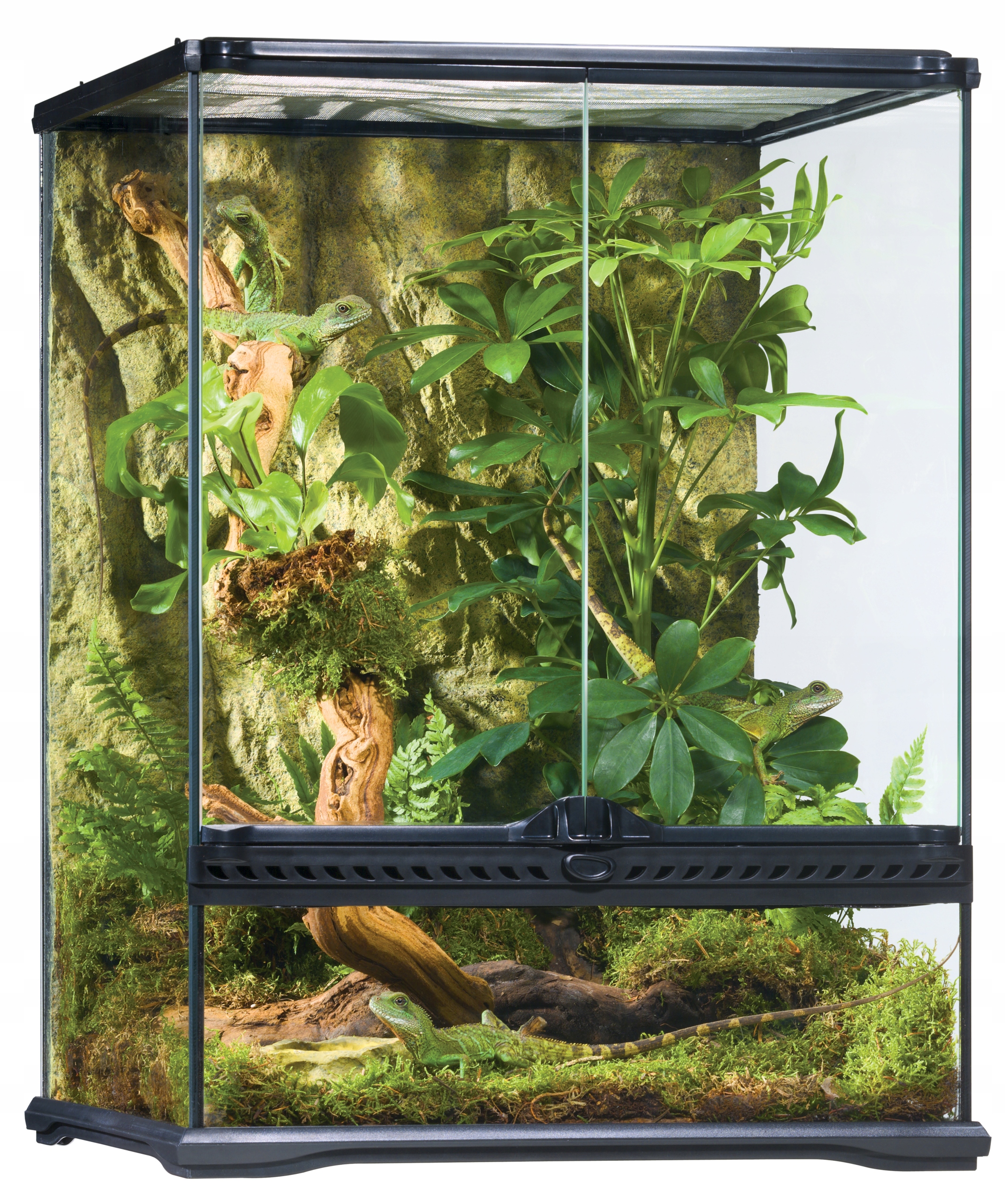 

Hagen Small Terrarium szklane wysokie 45x45x60 cm