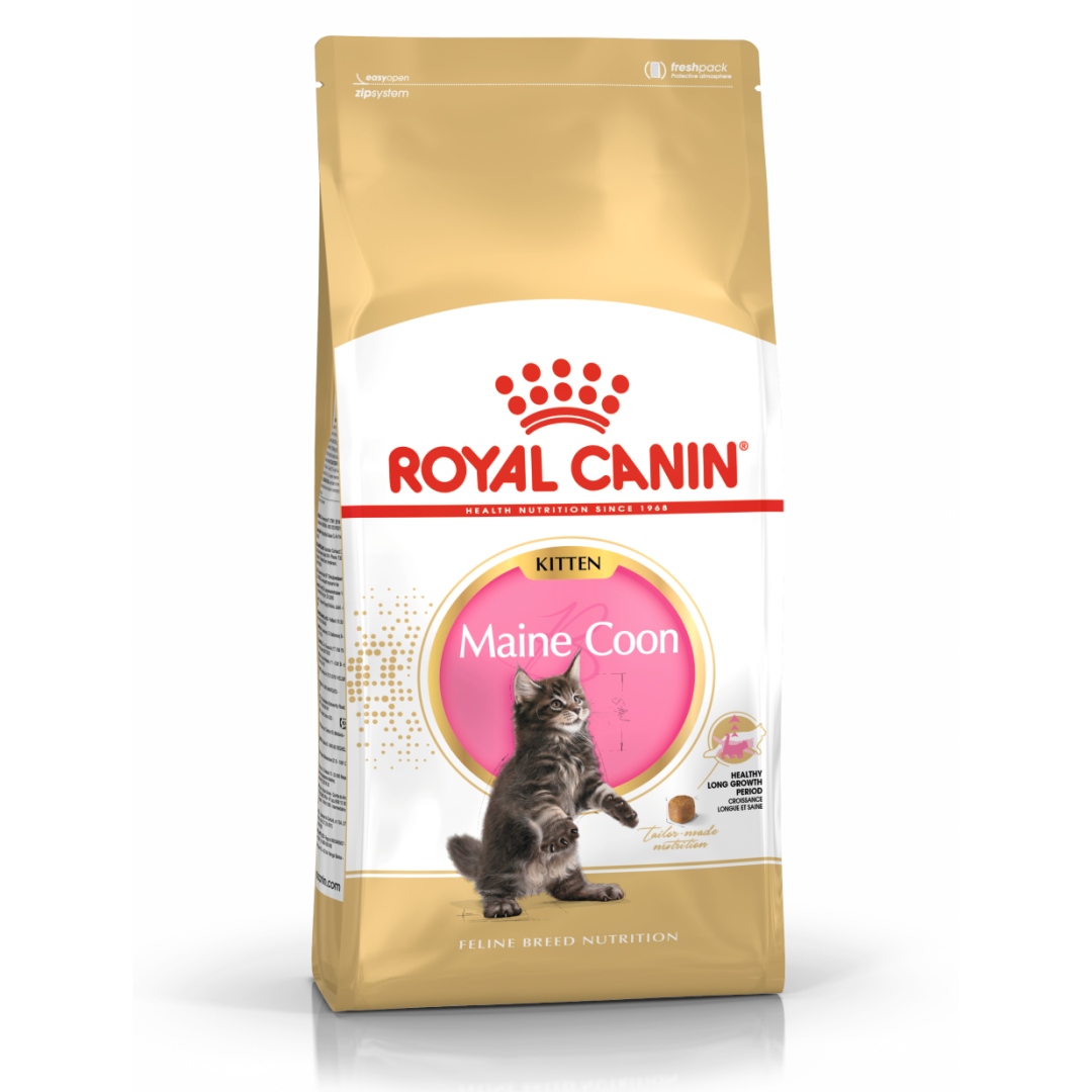 Royal Canin Maine Coon Kitten 4kg Karma Sucha Dla Kociąt Do 15 Miesiąca